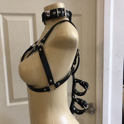Rhi Rhi  Bra Harness with Collar and Box Tie Bondage